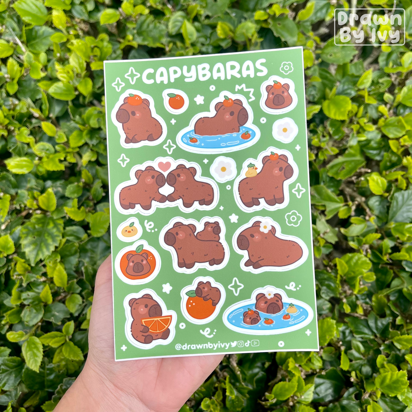Capybaras Vinyl Sticker Sheet