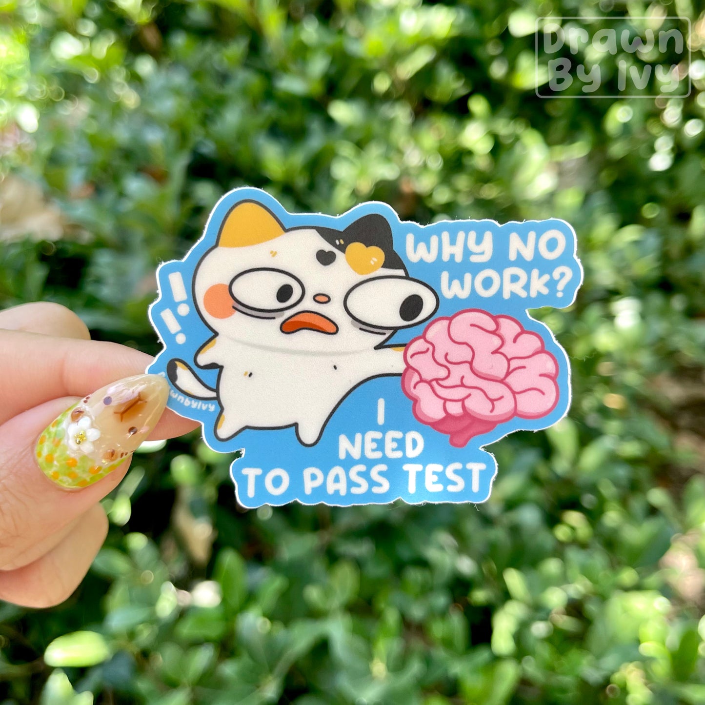 Pass Test Vinyl Sticker (coming 7/31)
