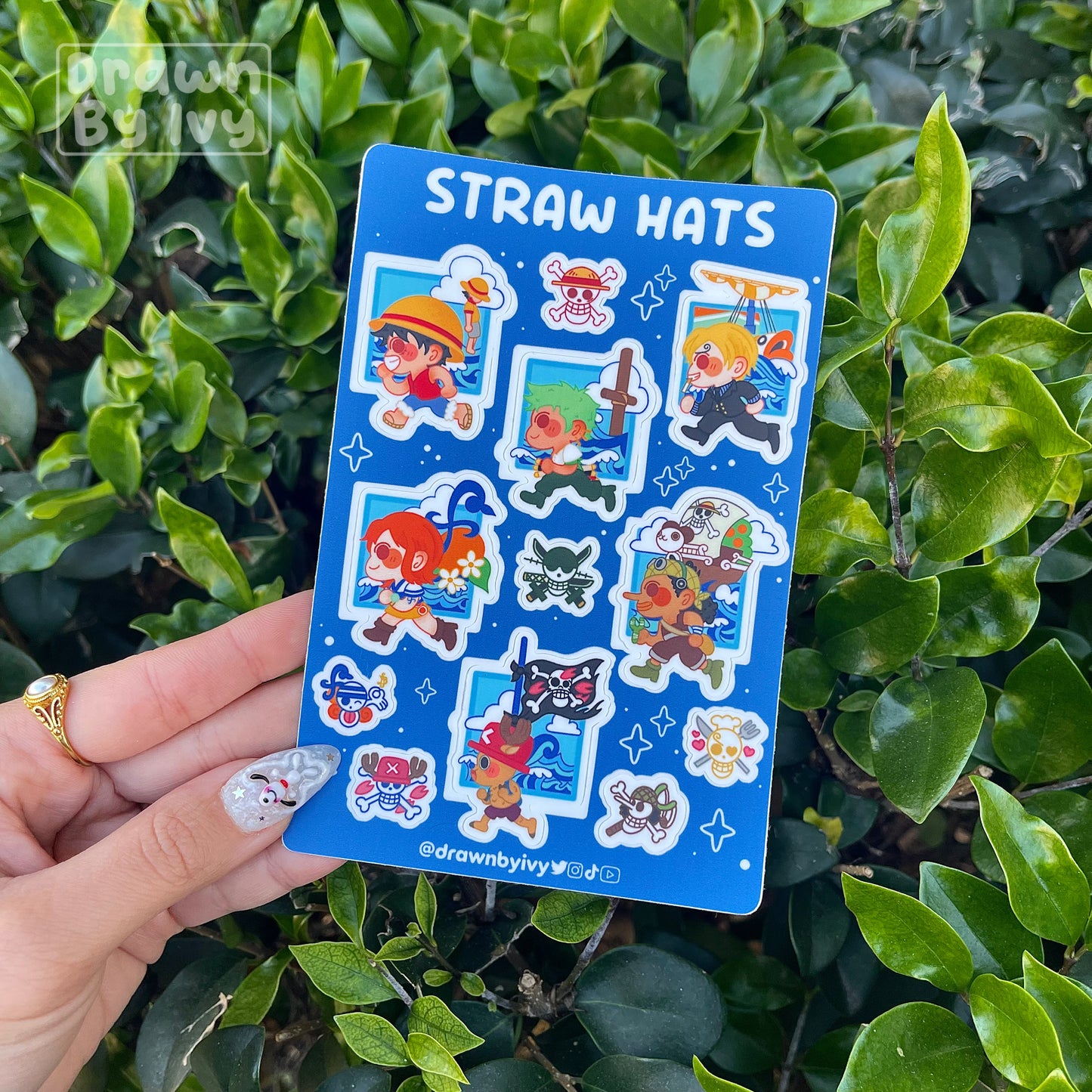 Straw Pirates Vinyl Sticker Sheet