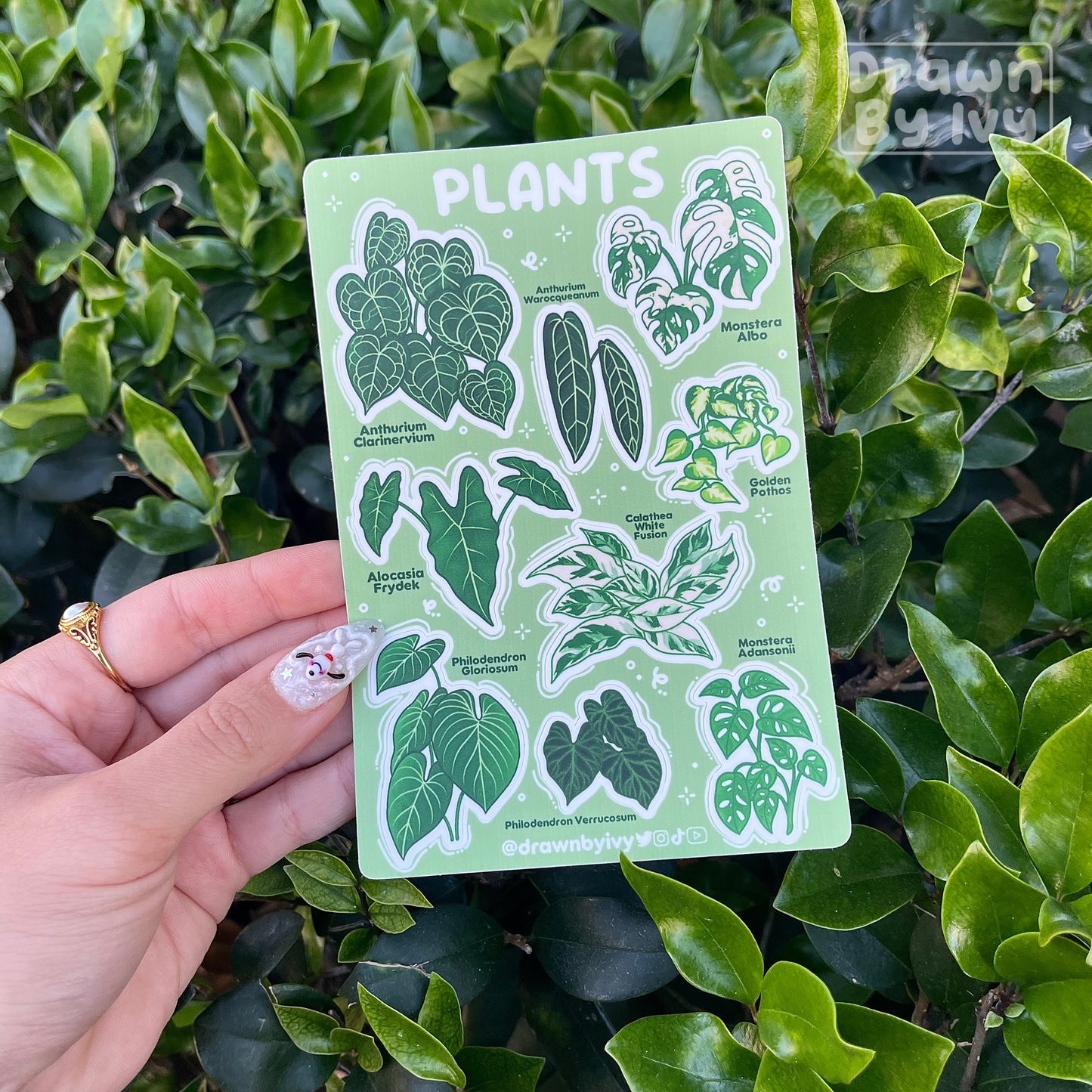 Plants Vinyl Sticker Sheet